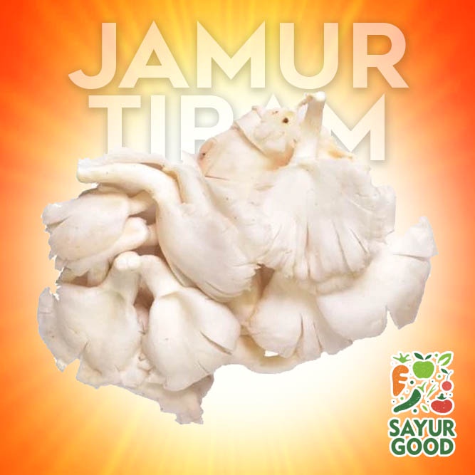 

Jamur Tiram Segar / Jamur Tiram Segar / Jamur Tiram / 250gr