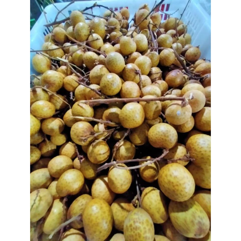

lengkeng|rakhabuahsegarbandung|buahfresh