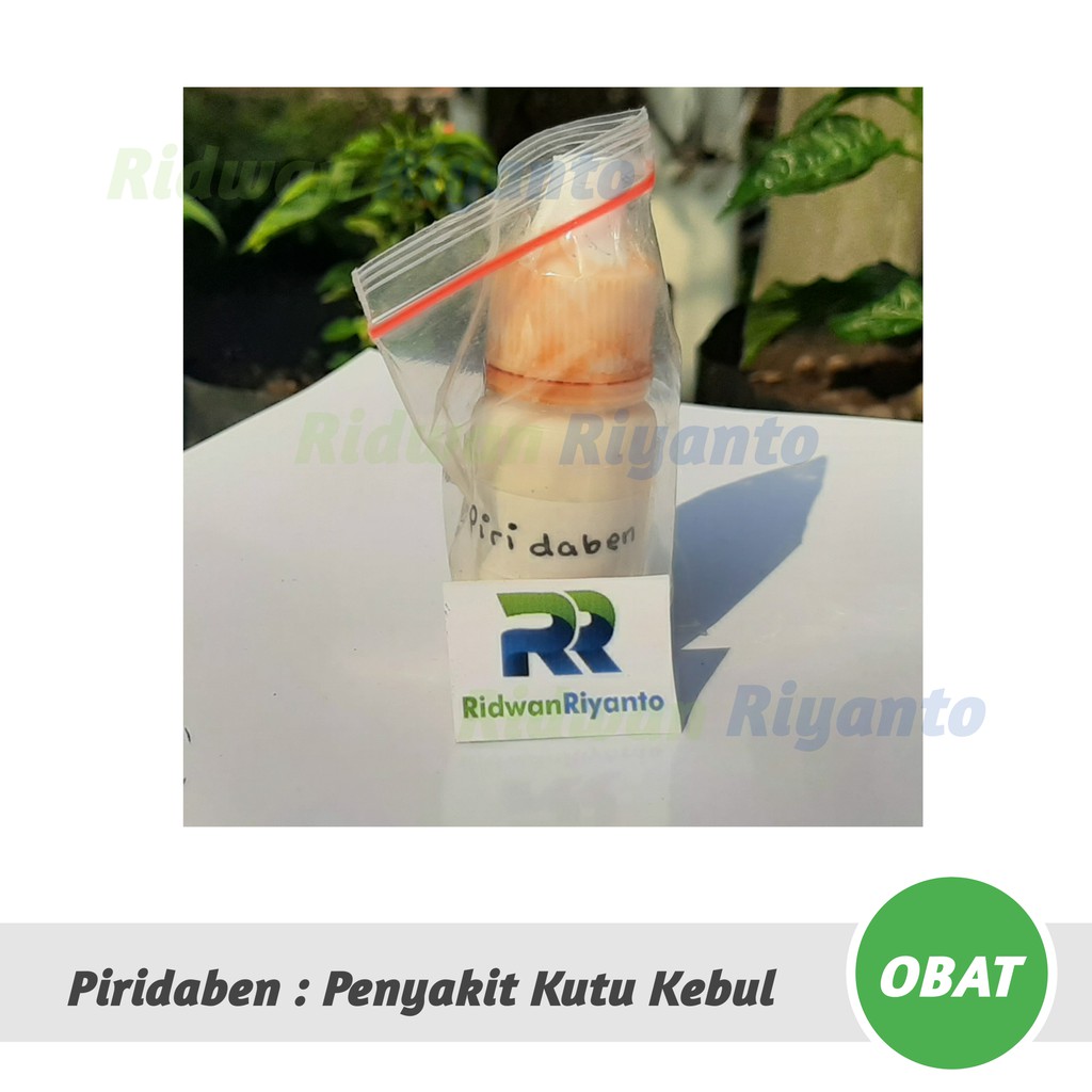 OBAT Cabai PIRIDABEN Untuk Penyakit Kutu Kebul