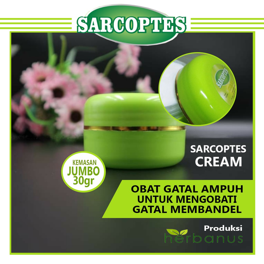 SALEP OBAT GATAL AMPUH EKSIM SKABIES PANU KURAP ALERGI KULIT SELANGKANGAN SARCOPTES CREAM