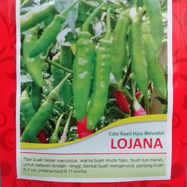 Cabe Rawit Hijau Merunduk LOJANA 10 gram