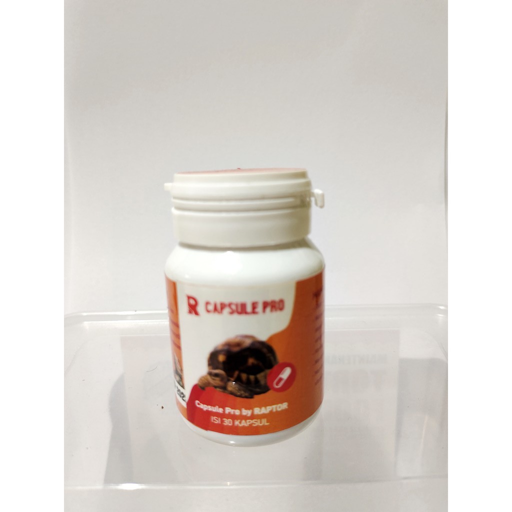 Raptor Capsule Pro - Obat Reptil dan Kura Kura Sulcata, Pardalis