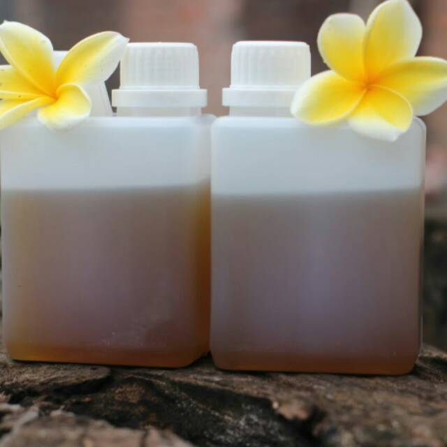 

Madu Murni 2jerigen mini 160ribu freeongkir