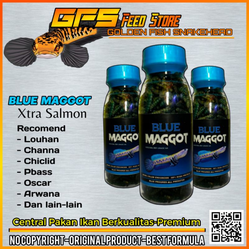 Blue Maggot Pakan Channa Kemasan Botol 100 ml