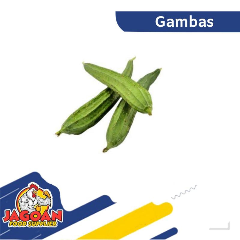 

TERMURAH!!! GAMBAS 500 GRAM / OYONG / SAYUR SEGAR