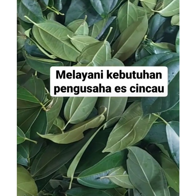 

1kg Daun Cincau Hijau / Cincau Perdu Organik