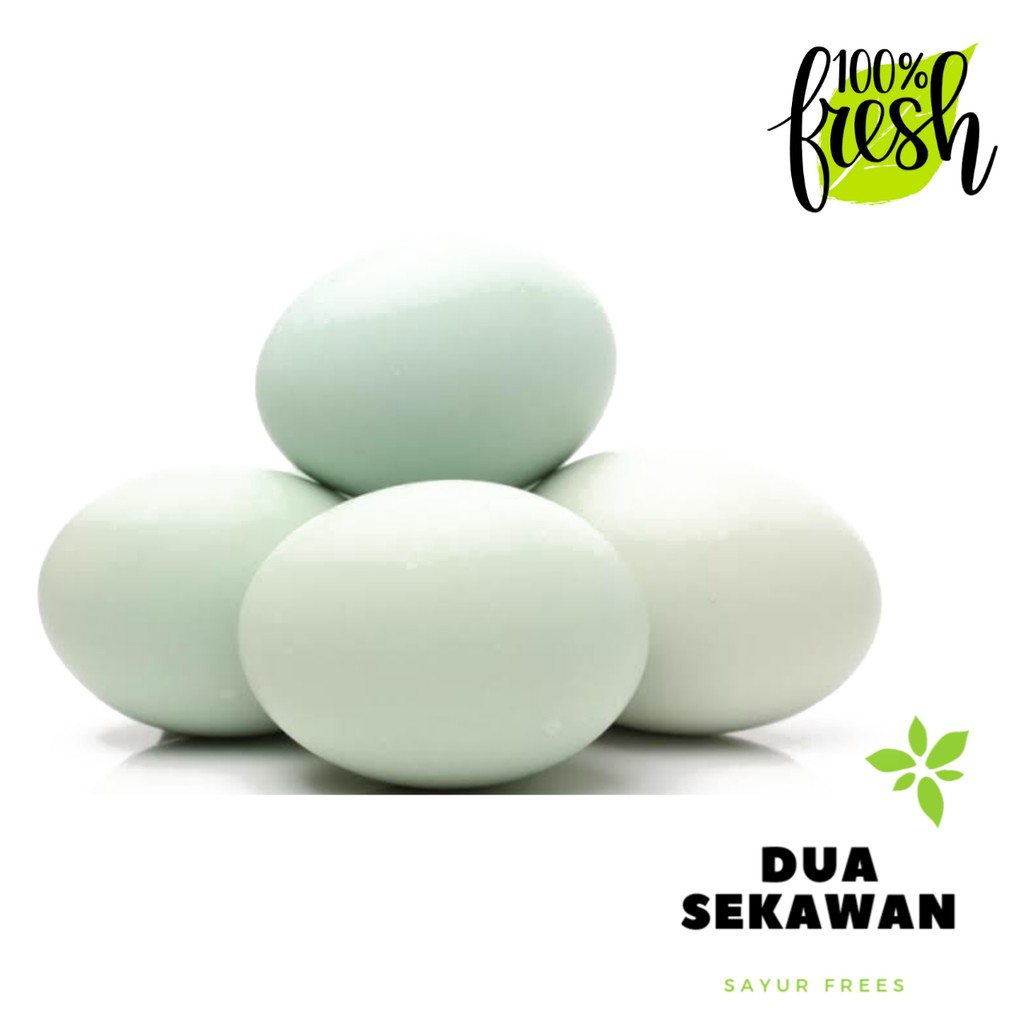 

Dua Sekawan | telur bebek mentah