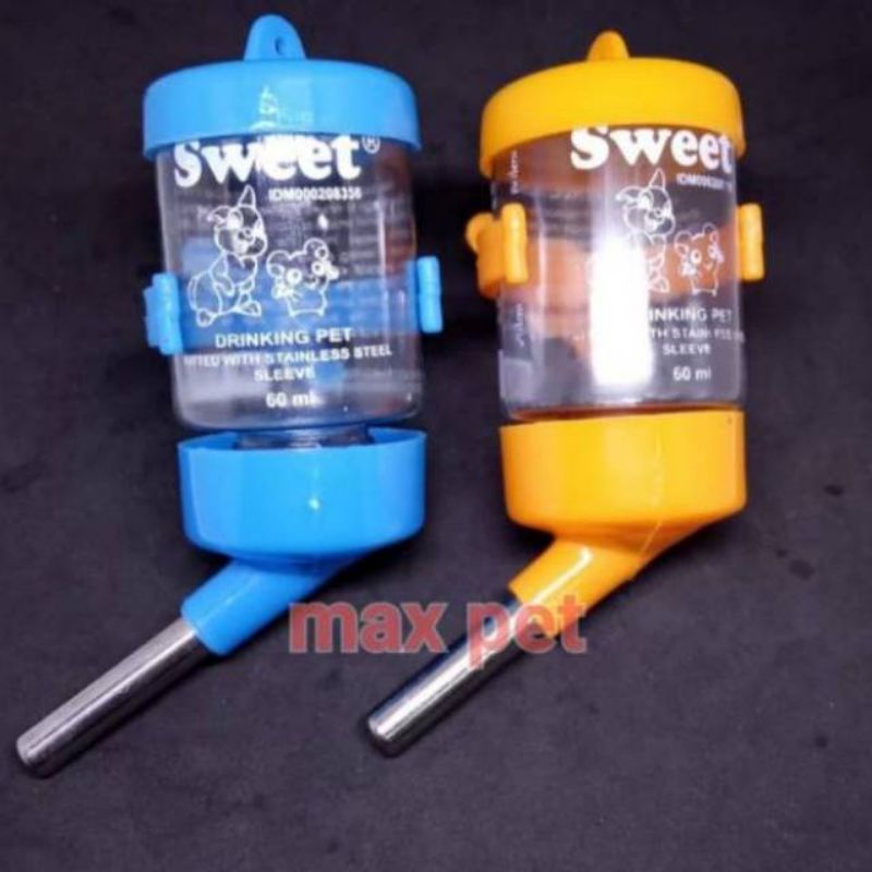 Dot hamster, sugar glider, marmut, landak dan hewan peliharaan lainnya