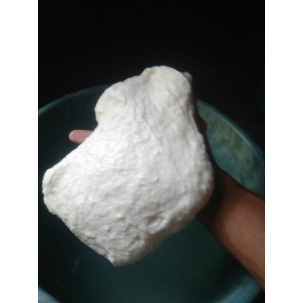 Pulut burung berkualitas 1kg