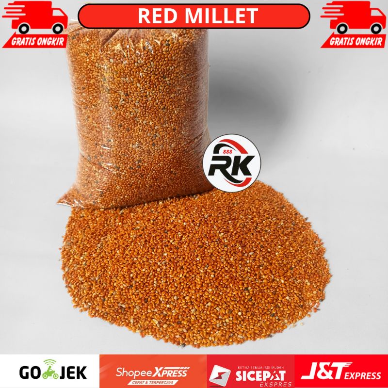MILET MERAH BIJI MILET MERAH PAKAN BURUNG PERKUTUT LOVEBIRD PARKIT