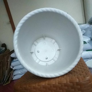  Pot  Kb Shallom Putih  25 motif  Bunga Pot  Lucu Shopee 