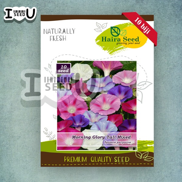 Haira Seed BIbit-Biji Bunga Morning Glory Tall Mix