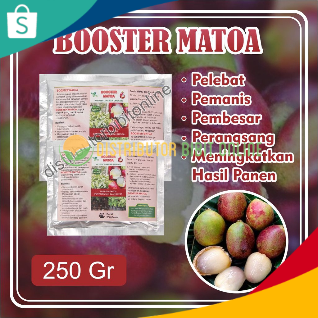Booster Matoa, Bisa COD Pupuk Booster Buah Matoa, Pemicu Matoa Cepat Berbuah