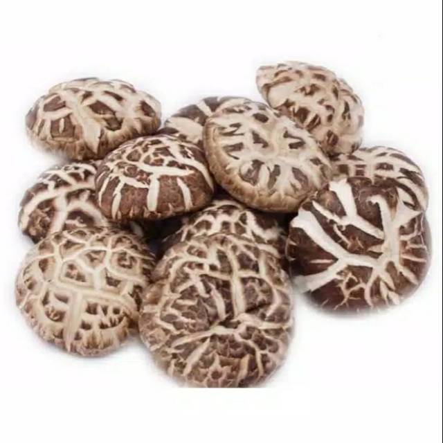 

Jamur Shintake / Hyoko Besar 100 gram