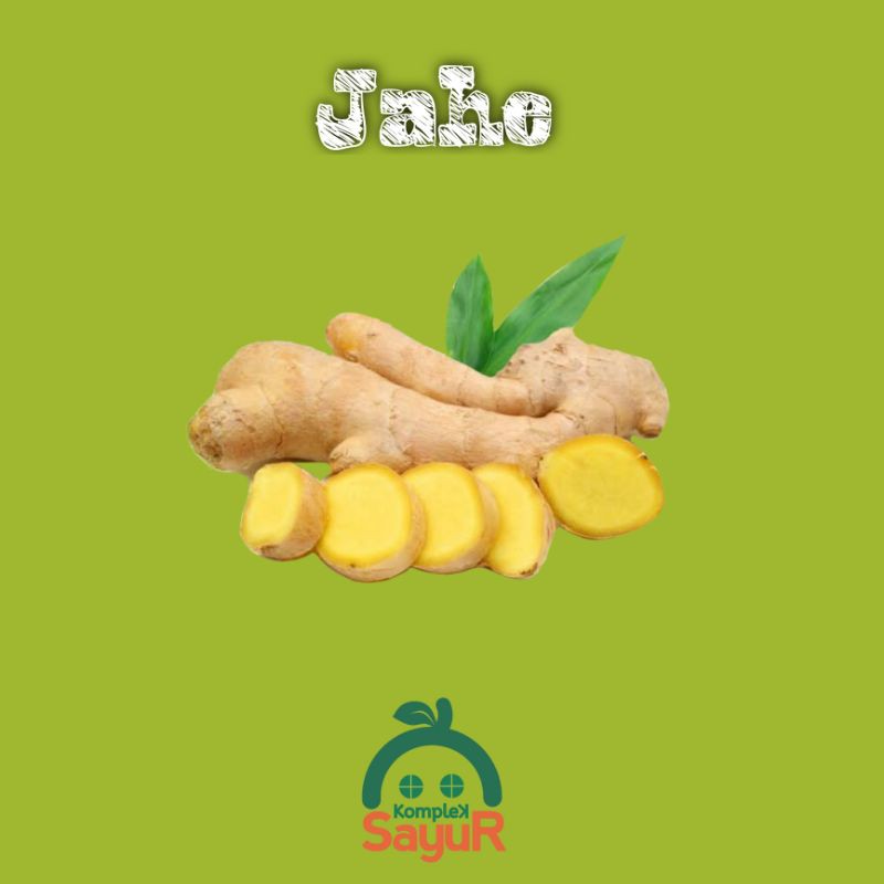 

Bumbu Dapur Jahe Segar Kualitas Pilihan Terbaik 100 gram