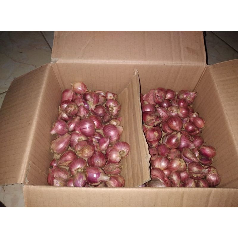 

Bawang Merah Organik Dari Petani Langsung