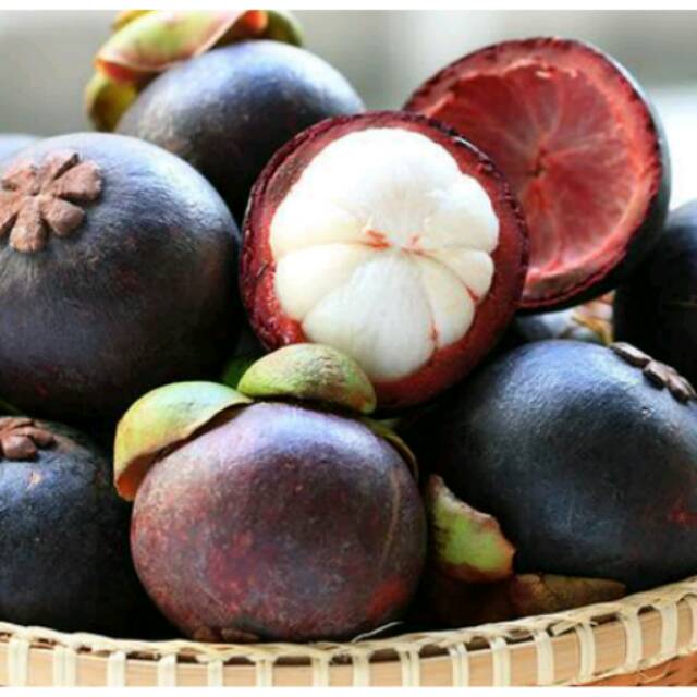 

Kulit Manggis Kering Obat Kanker Mangosteen 500 gr