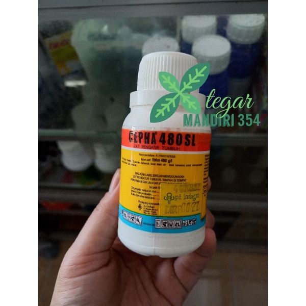 zat pematang buah cepha karbit cair ZAT PENGATUR TUMBUH TANAMAN CEPHA 480 SL - 100 ML untuk memeram 