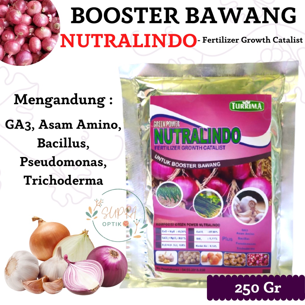 Pupuk Organik Pelebat Bawang, Pupuk Pembesar Umbi Bawang Merah, Booster Umbi Bawang Anti Busuk