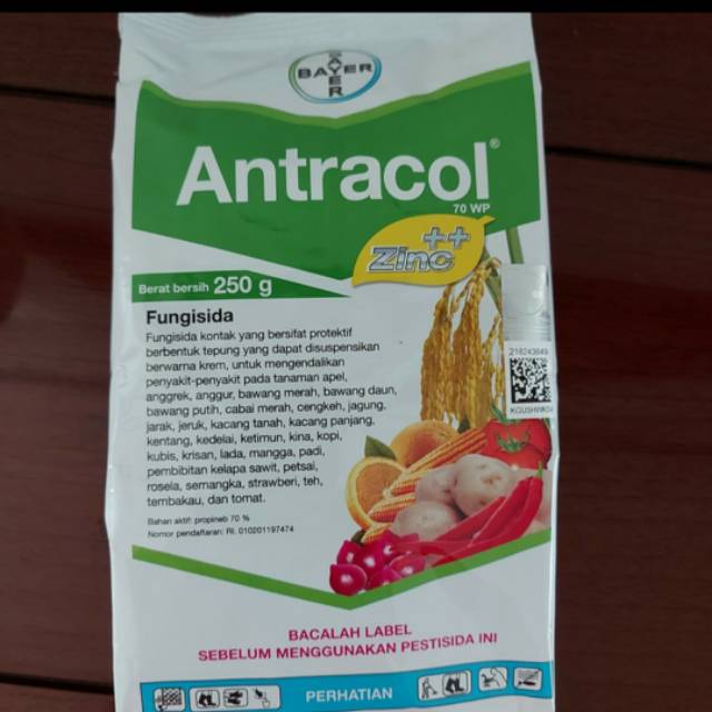 Antracol 250 Gram Fungisida Pestisida Obat Anti Jamur Tanaman Shopee Indonesia