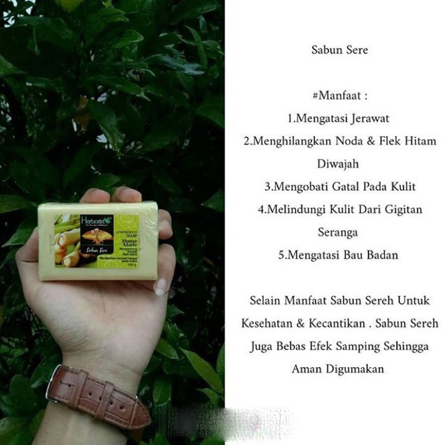 HERBORIST Sabun Batang Bar Soap 80gr | 160gr - Sere Lemongrass Beras Zaitun Aloe