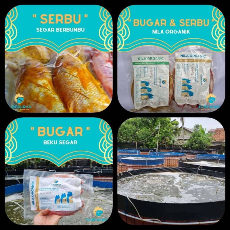 

ikan nila organik bumbu