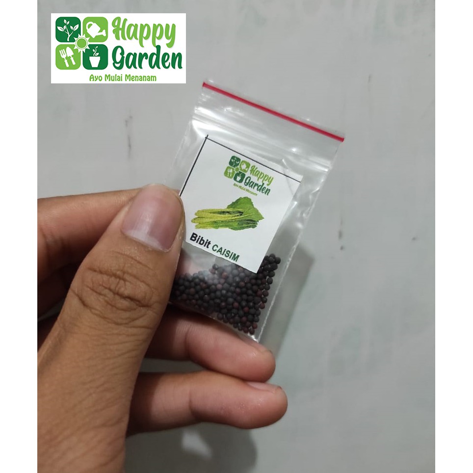 BENIH BIBIT CAISIM TOSAKAN PANAH MERAH REPACK 2 GRAM