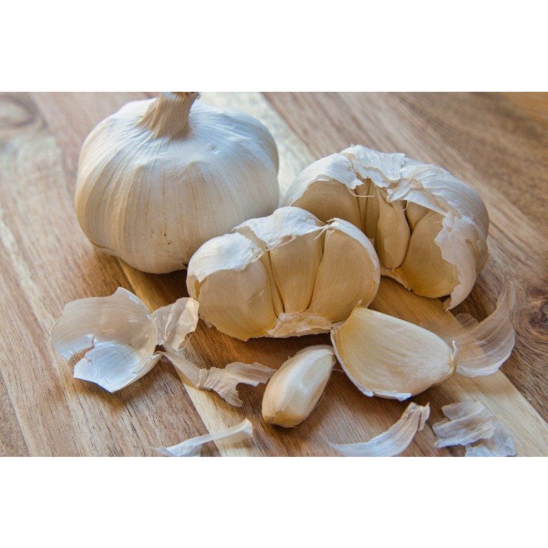 

bawang putih segar