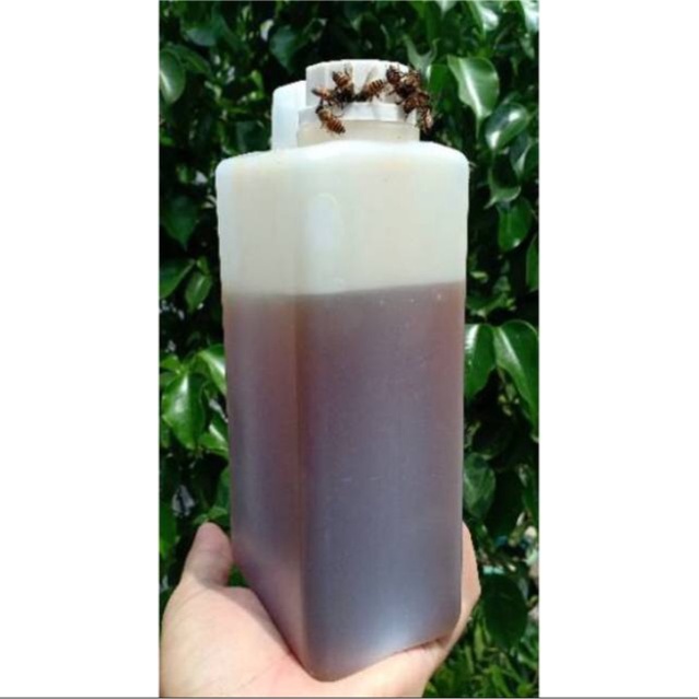 

Madu Asli Multiflora 1kg Murni Madu Sehat Nusantara Raw Honey
