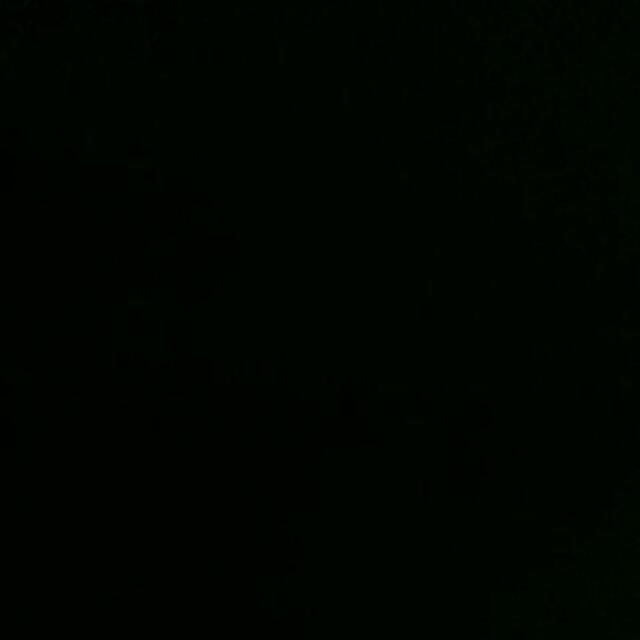 Kamper Unicorn Putih