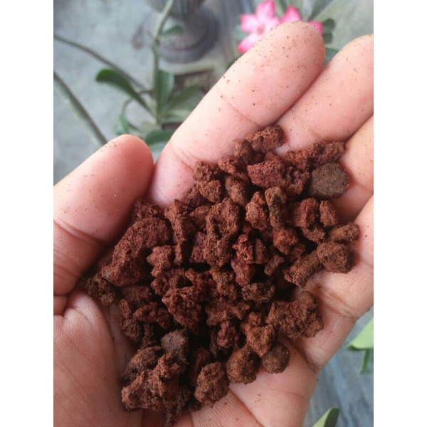Red Lava Rock 1000gr | Media Tanam | Media Aquarium | Media Aquascape | Media filter