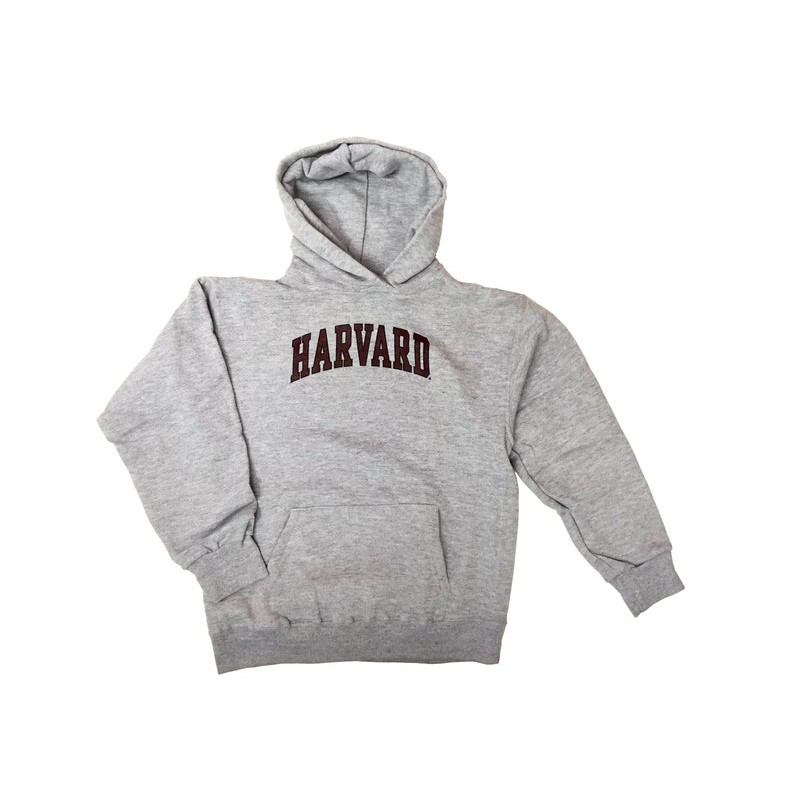 Premium Jaket Hoodie Vintage 90_s Champion Sweatshirt Champion Rochester