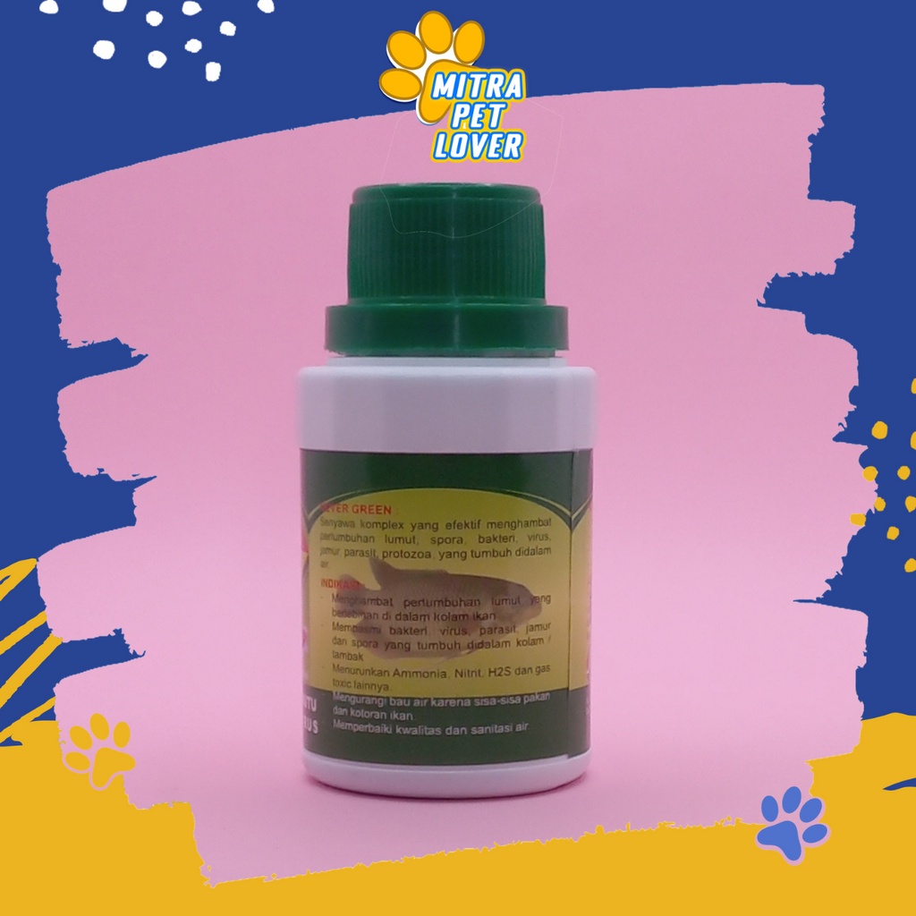 OBAT CAIR ANTI LUMUT UNTUK AIR KOLAM - NEVER GREEN 125 ML - BASMI JAMUR BAKTERI VIRUS SPORA , ORGANIK PERBAIKI KWALITAS AIR-- MURAH GARANSI ORIINAL PET ANIMAL HEALTHCARE VETERINARY TAMASINDO OBAT KESEHATAN &amp; VITAMIN HEWAN BINATANG PELIHARAAN MITRAPETLOVER