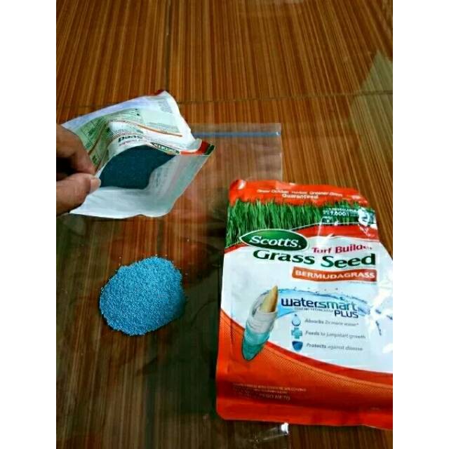 PROMO Biji rumput jepang - benih rumput jepang - bibit rumput jepang -  bibit