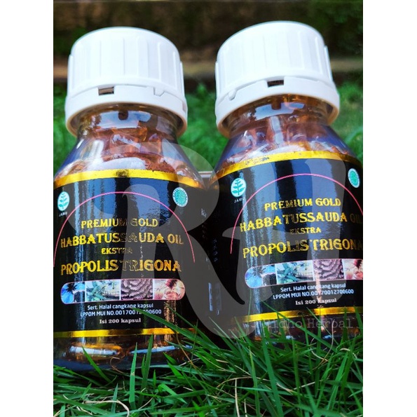 

HABBATUSSAUDA EXTRA PROPOLIS TRIGONA ISI 200 KAPSUL | HABBATUSSAUDA EXTRA PROPOLIS TRIGONA 200 CAPS