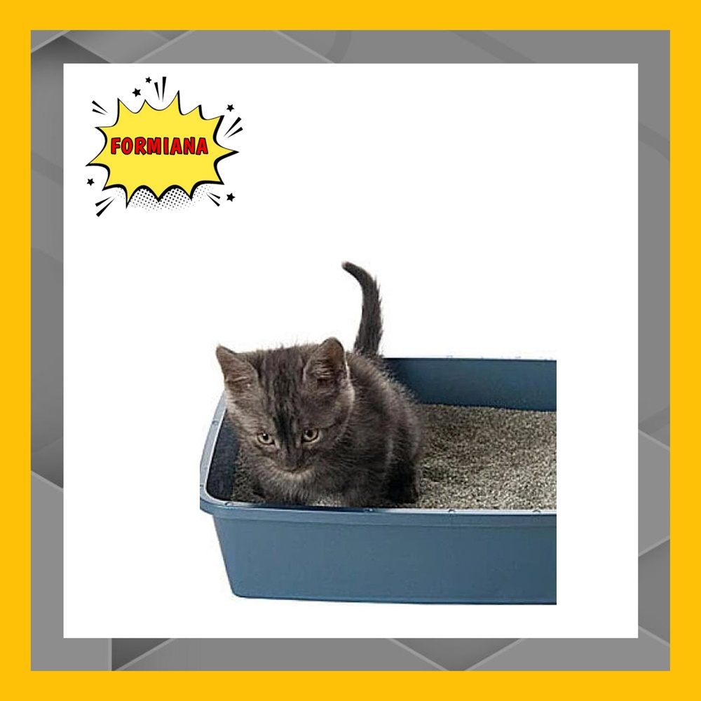 FM - Bak tempat pasir kucing - Cat Litter Box Size 40 x 31 x 13cm