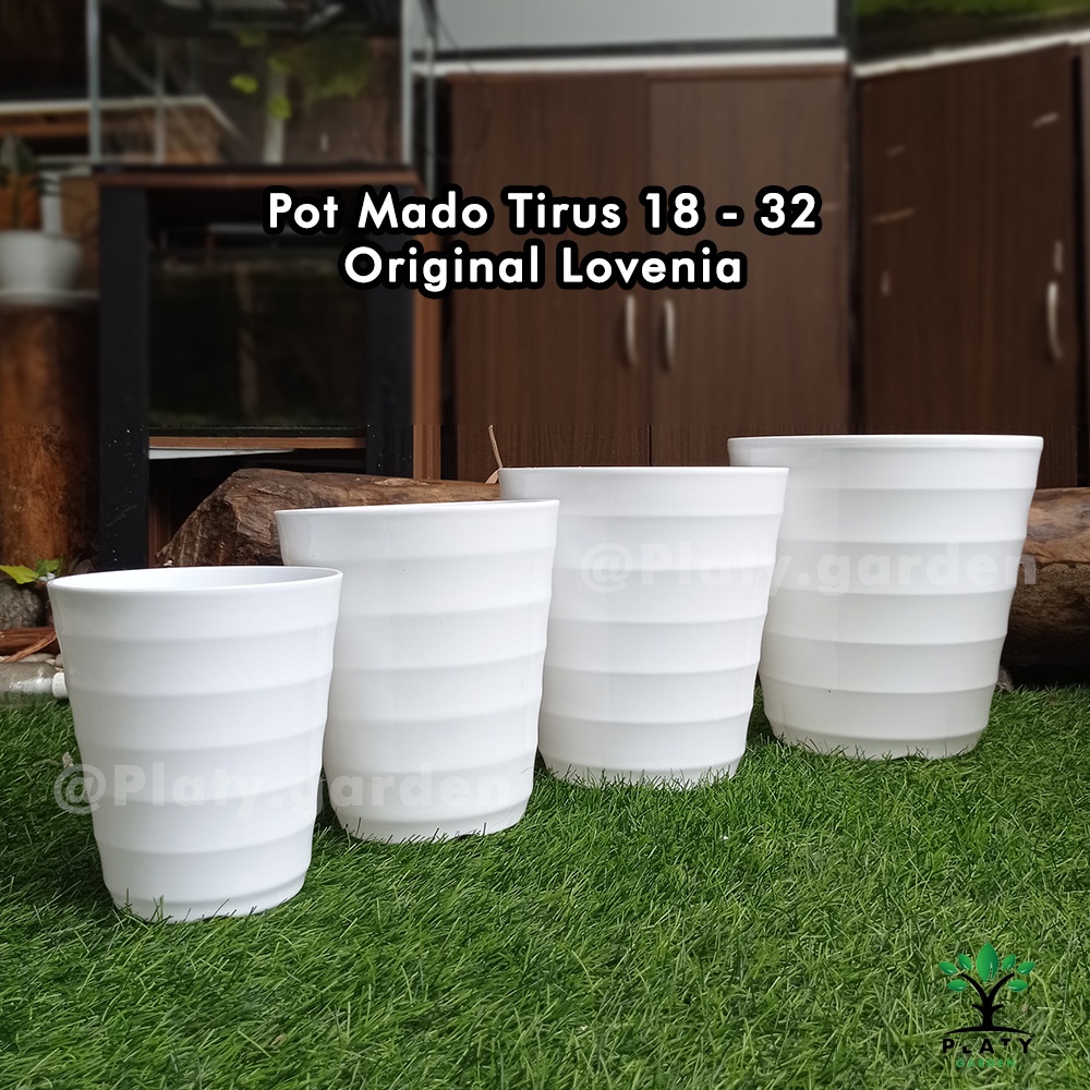 Pot Mado Pirus | Mado Tirus Putih Merk Lovenia 18 - 32 | Pot Bunga