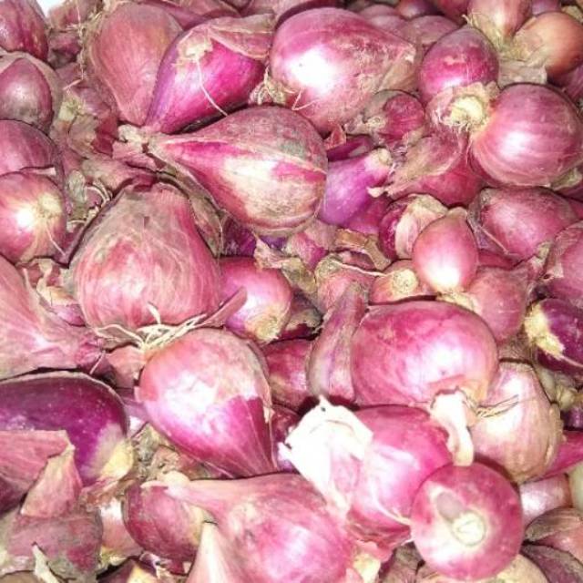 

Bawang Merah Brebes Per Kilo Varian Kecil Besar Super
