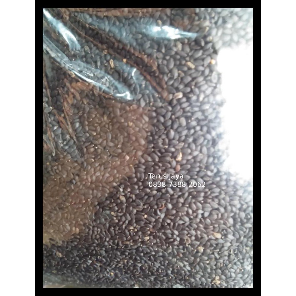 

Biji Selasih Kualitas Bagus Terbatas