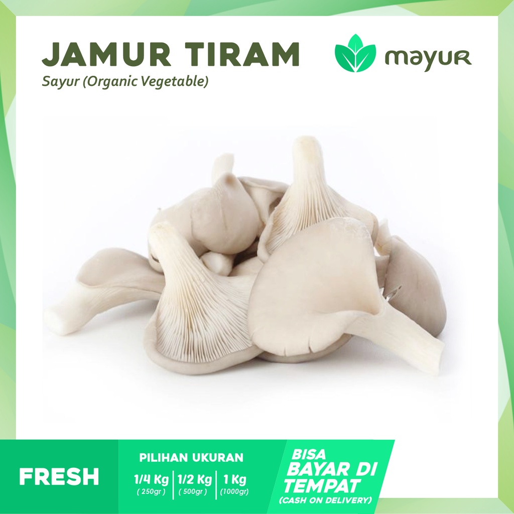 Jual Jamur Tiram Segar 250gr 1 2kg 1kg Shopee Indonesia