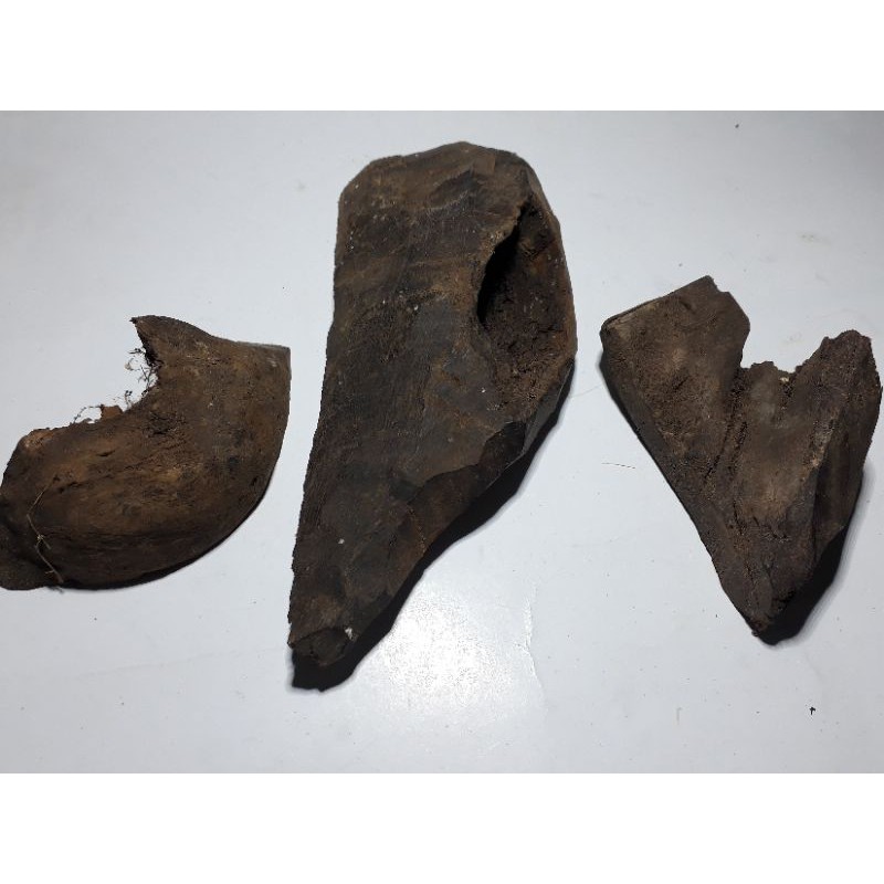 bahan kayu gaharu wangi asli original