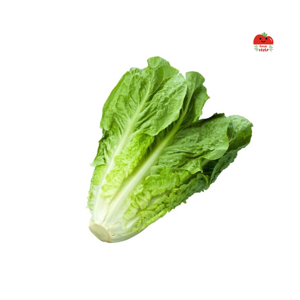 

Selada Romaine