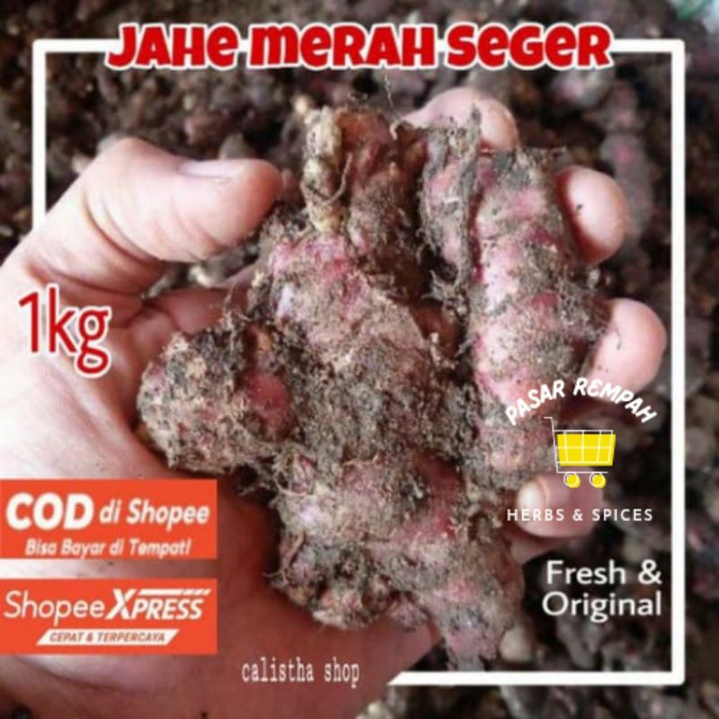 

Jahe Merah 1kg Jahe Merah Medan Jahe Merah Segar