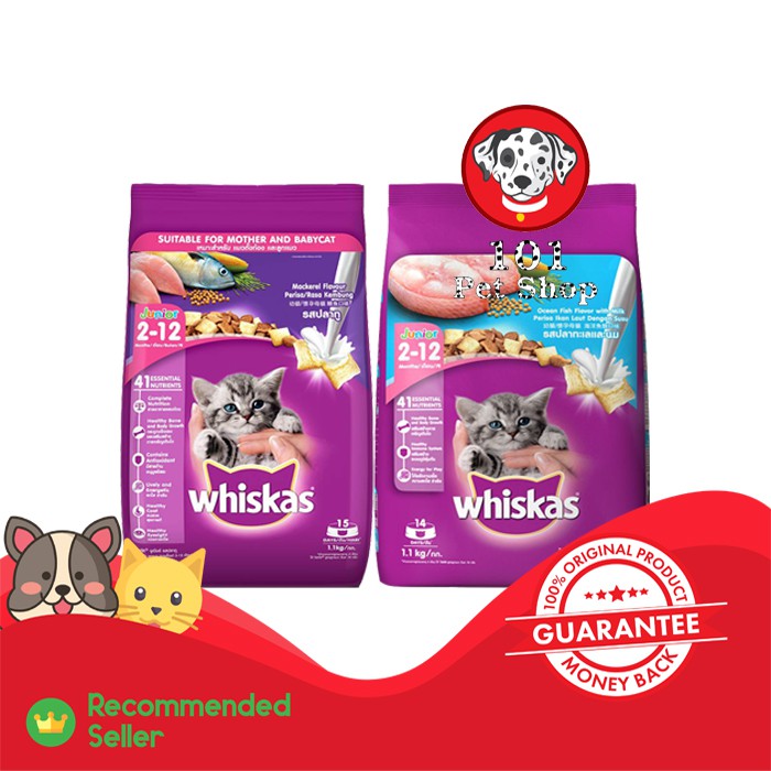 Makanan kucing Whiskas Junior 1.1kg all varian