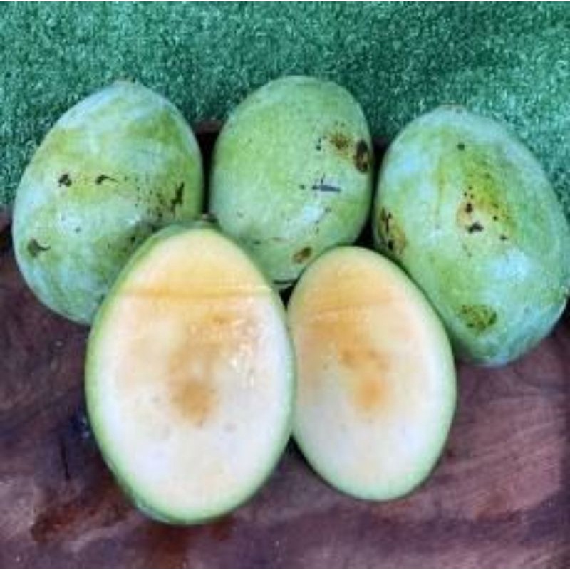 

Buah mangga manalagi madu 1 kg khas probolinggo