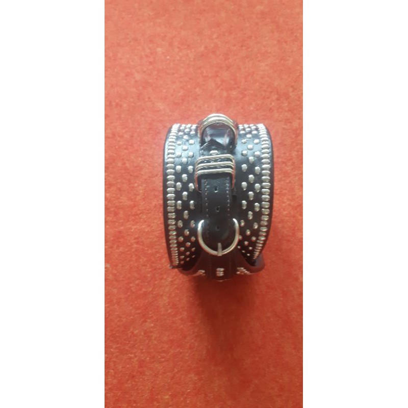 kalung anjing pitbull, bulterrir