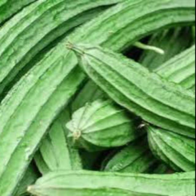 

Oyong 500 gram bandung