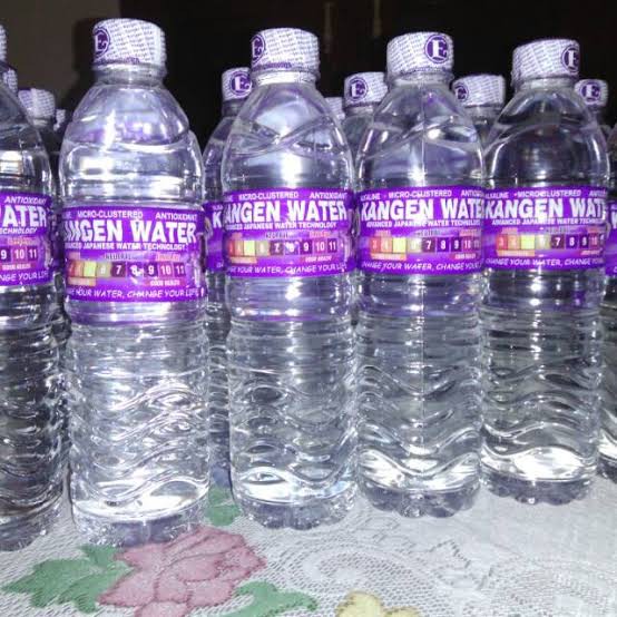 KANGEN WATER 1 DUS/24 BOTOL ( 600 ML ) FRESH