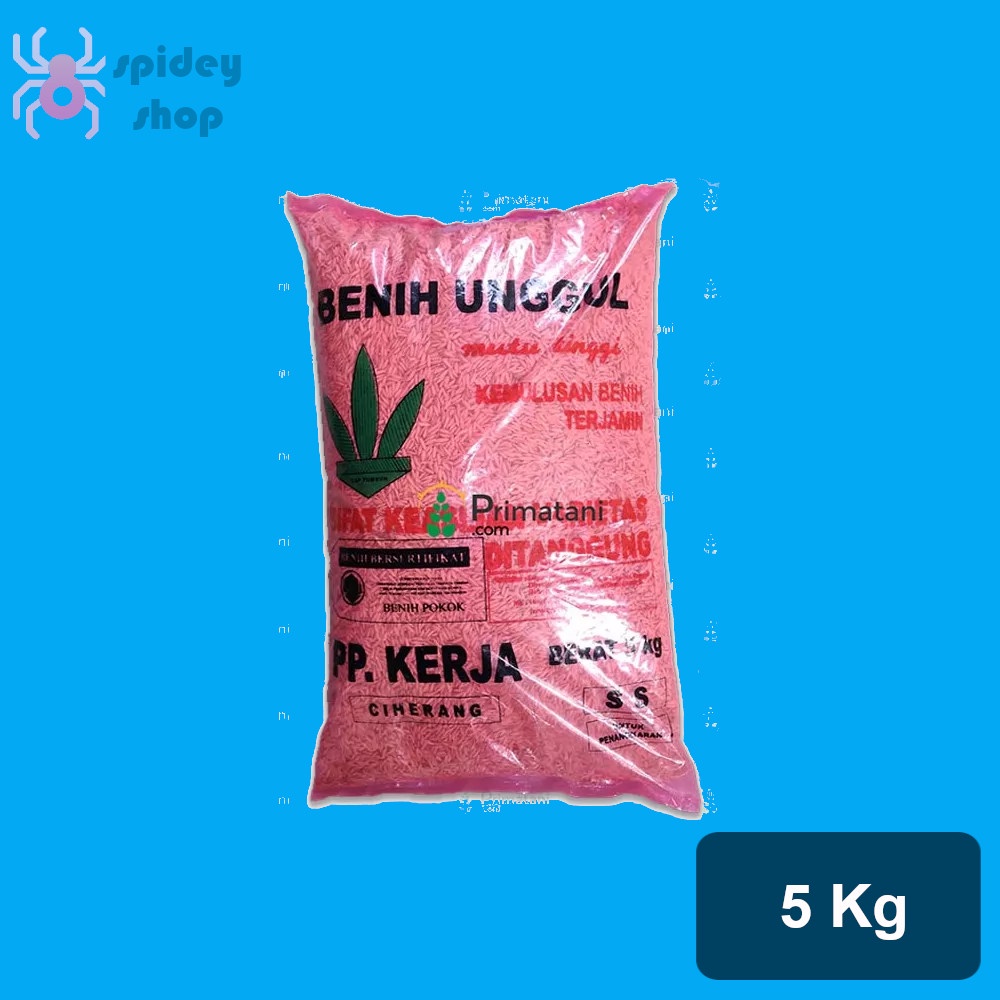 Benih Padi PP Kerja Ciherang 5 Kg