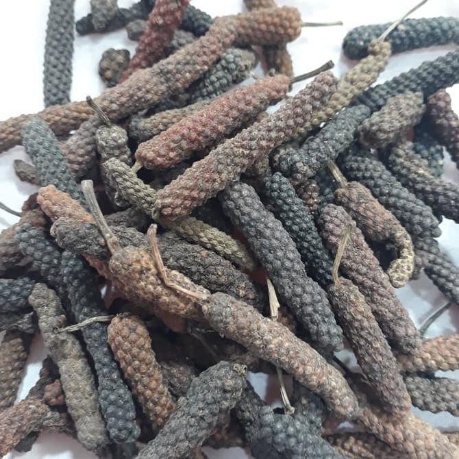 

Cabe Jawa / Cabe Jamu /Piper retrofractum Vahl